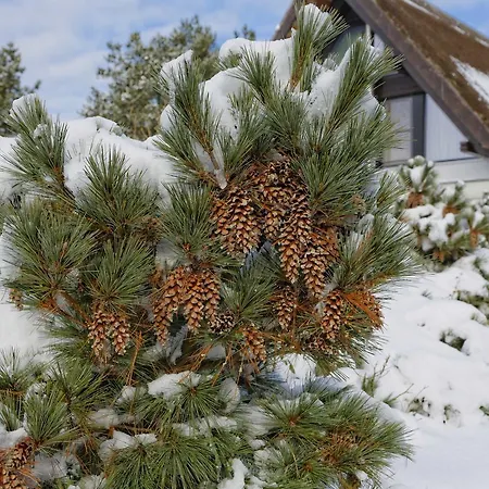 Σπίτι διακοπών Kapitaensweg 15