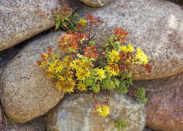 Kapitaensweg 15 Karlshagen