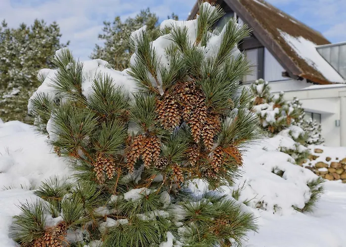 בית נופש Kapitaensweg 15